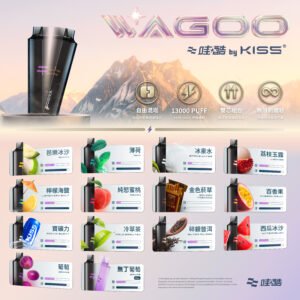 微信图片_20260318134216_484_1900 迪拜爆款【WAGOO❣️哇酷拋棄式6500口❣️】by KIS5 的高端品牌 【滿7送1請備注口味】